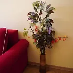 Casa Republicii 3*